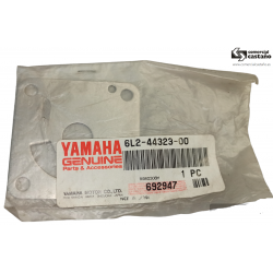 Placa bomba agua fueraborda Yamaha