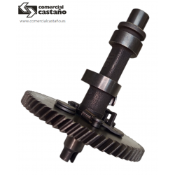 Árbol de levas motor EVC 4000.1