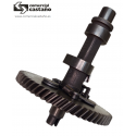 Árbol de levas motor EVC 4000.1